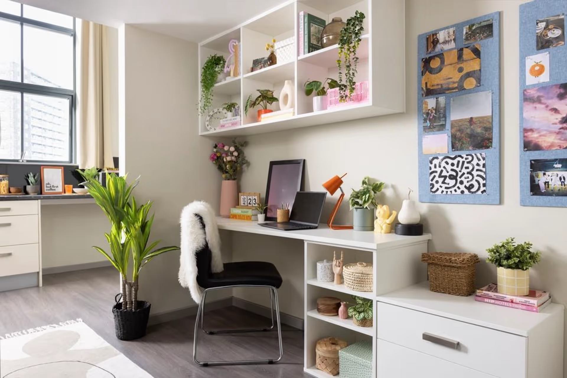 Premium Plus Studio