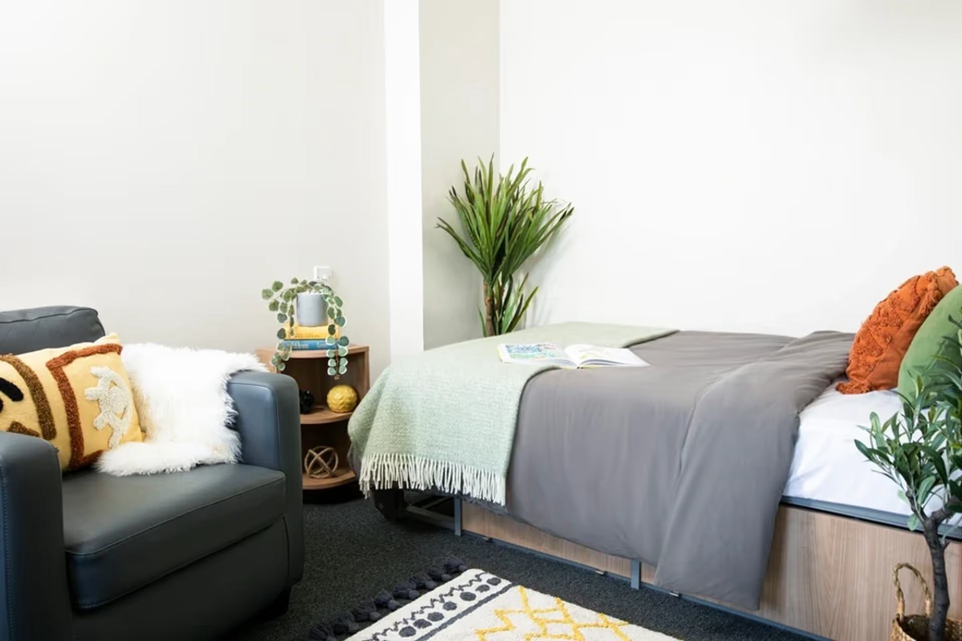 Large Standard Double Studio