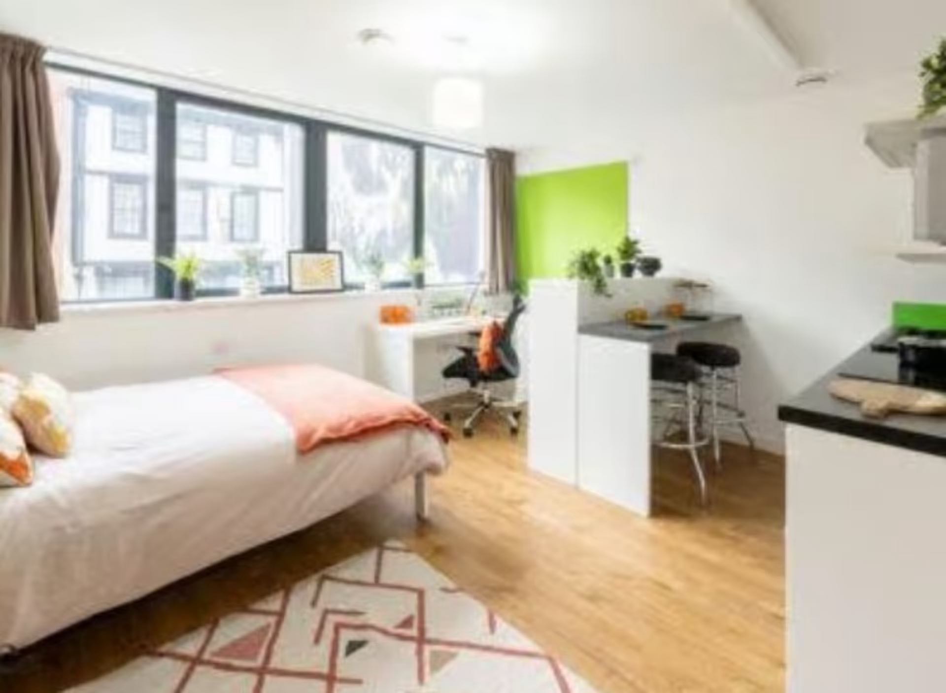 Deluxe Plus Studio