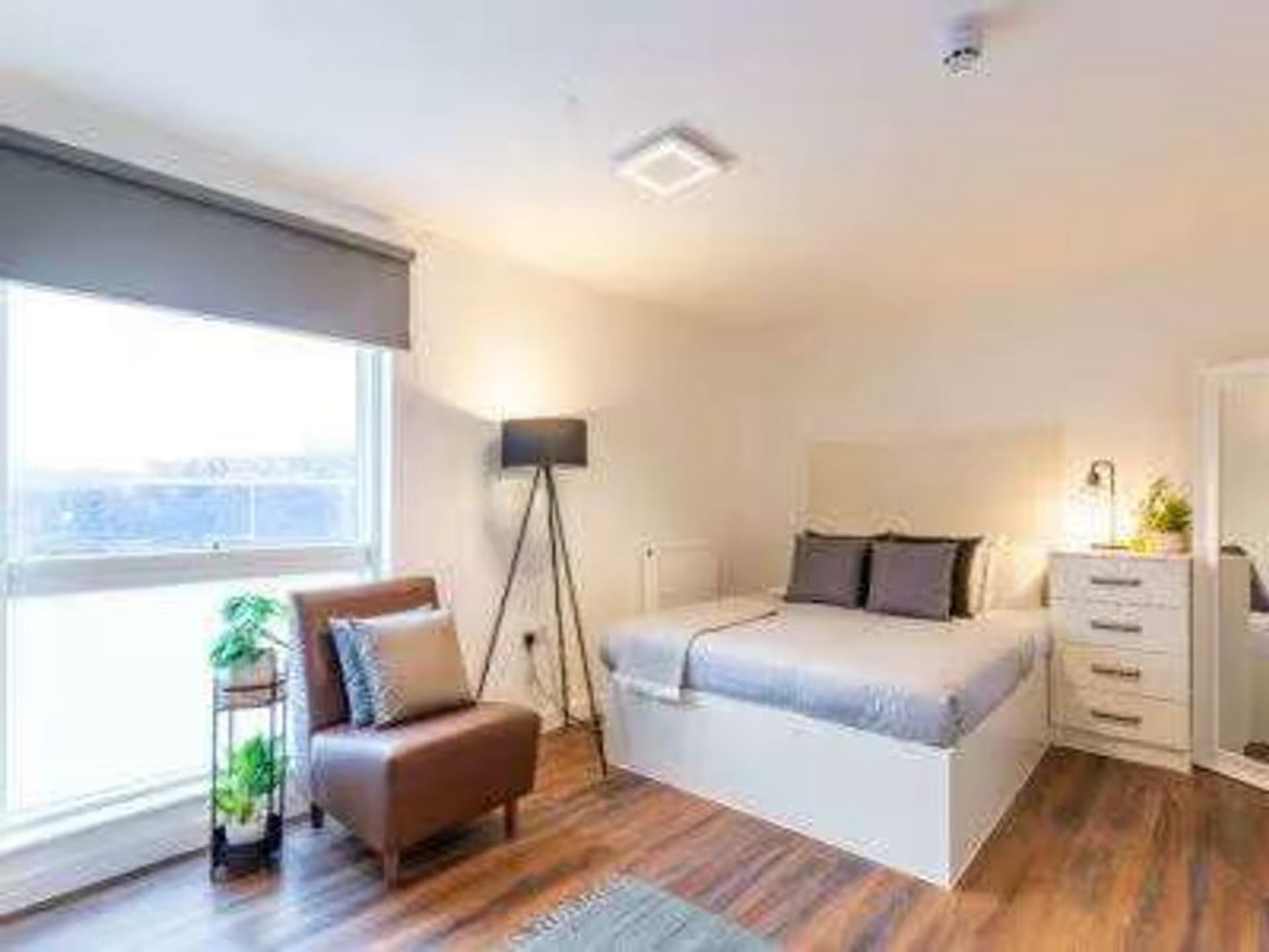 Premium Plus Studio