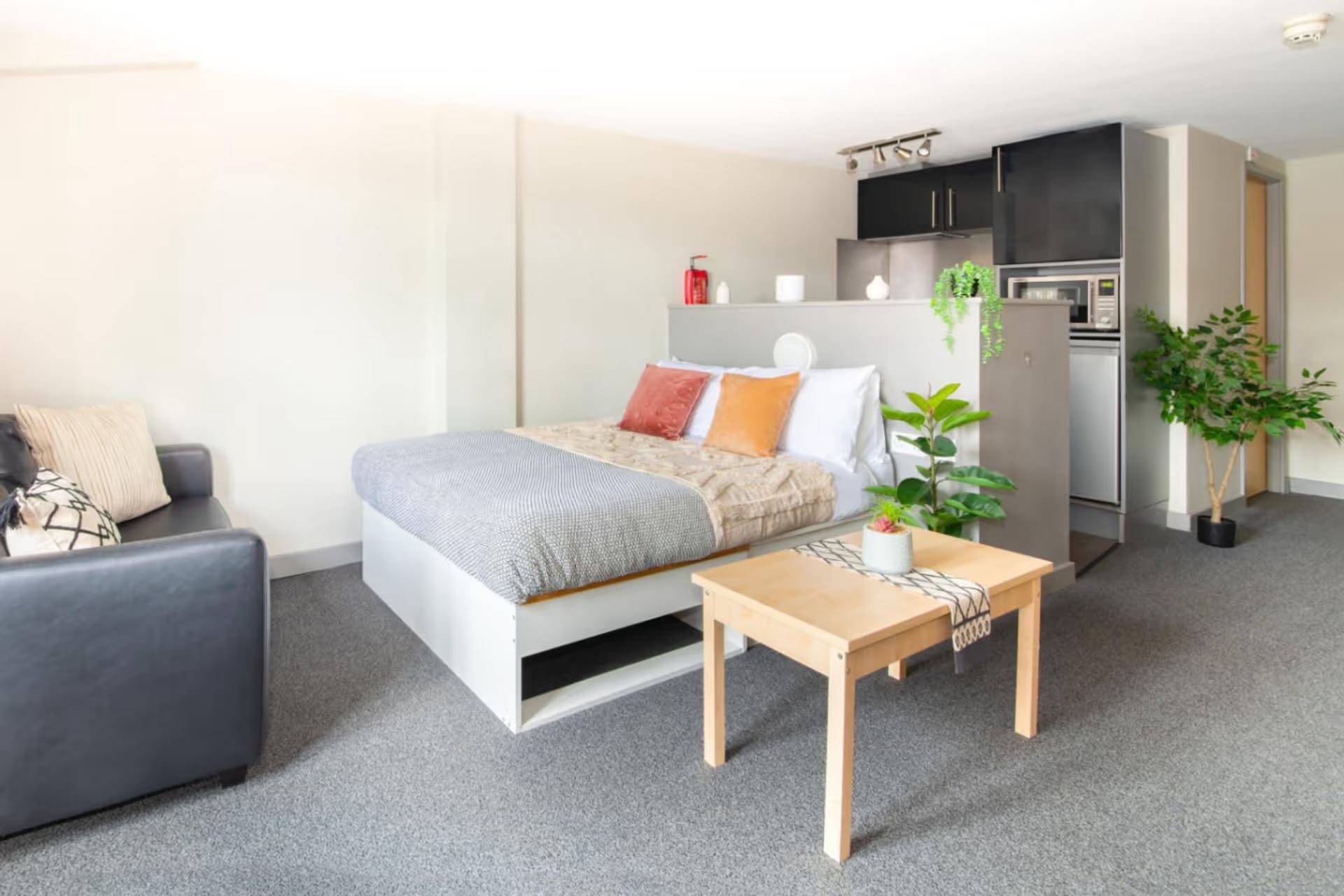 Premium Plus Studio