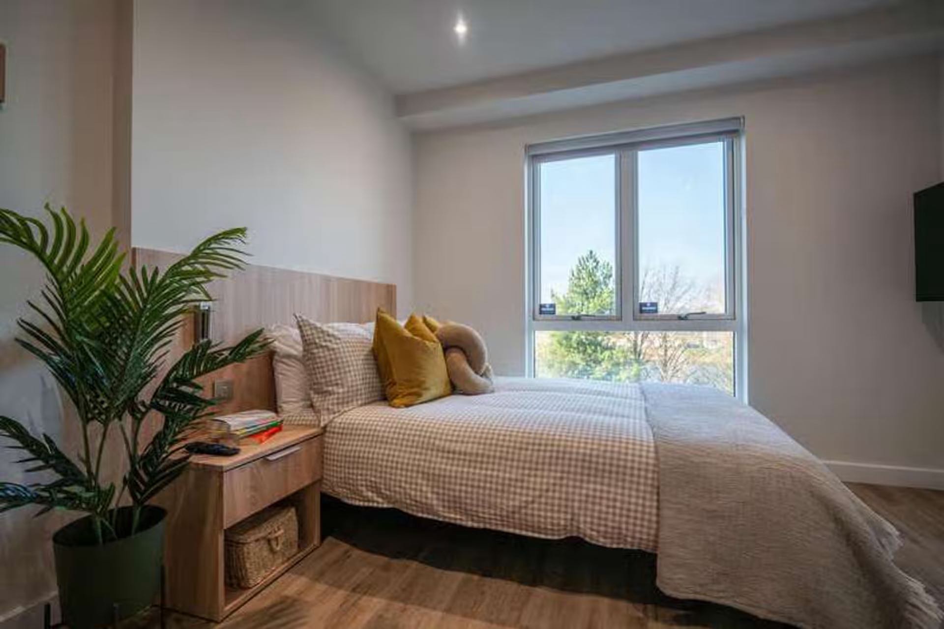 Classic Studio (Floors 1-4)