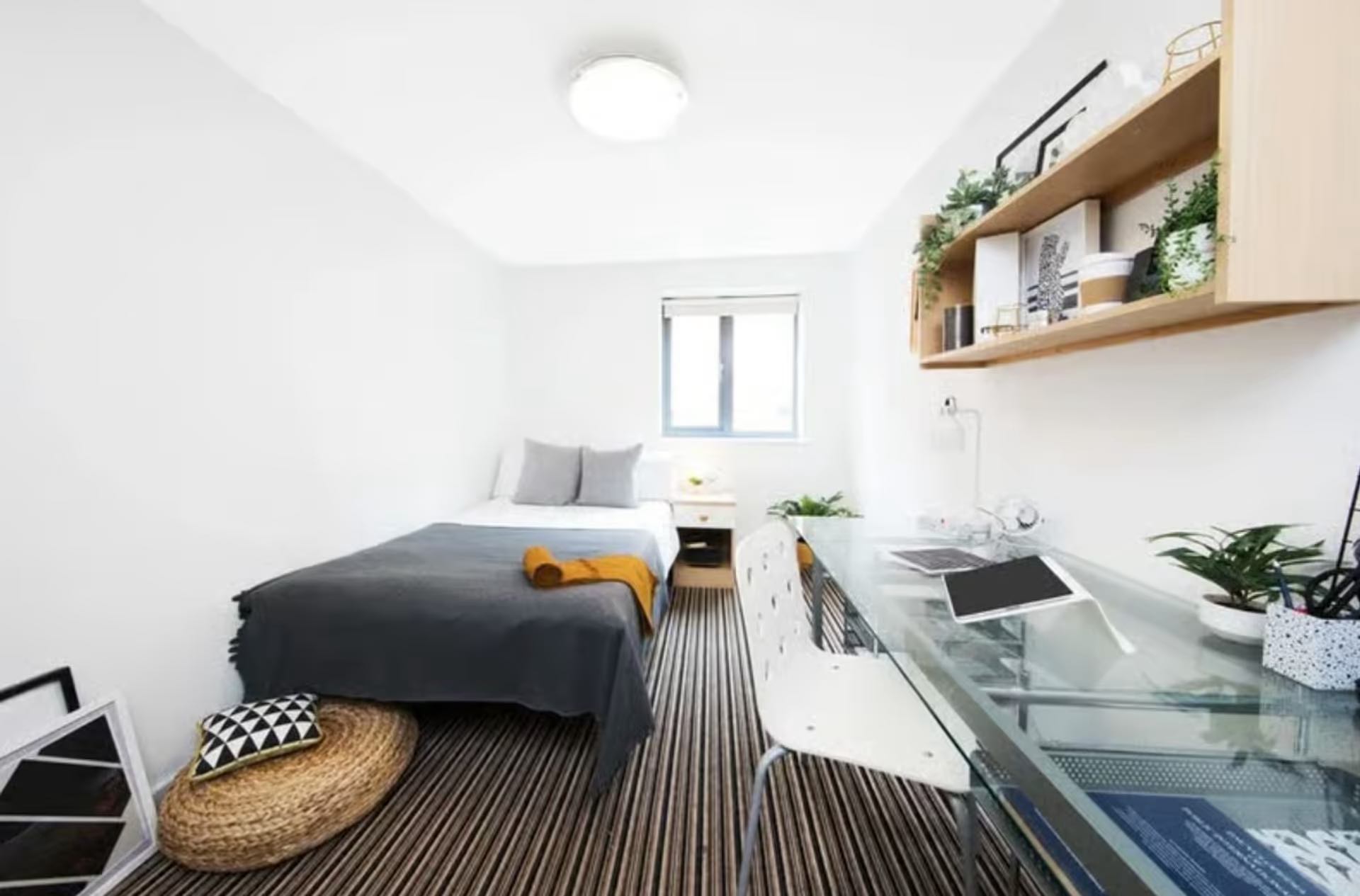3 Bed Flat