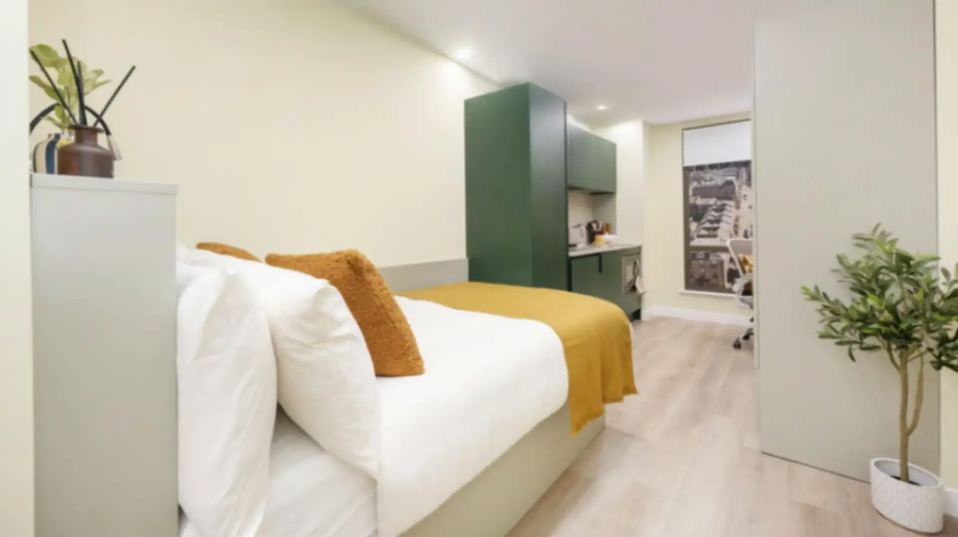 Premium Plus Studio