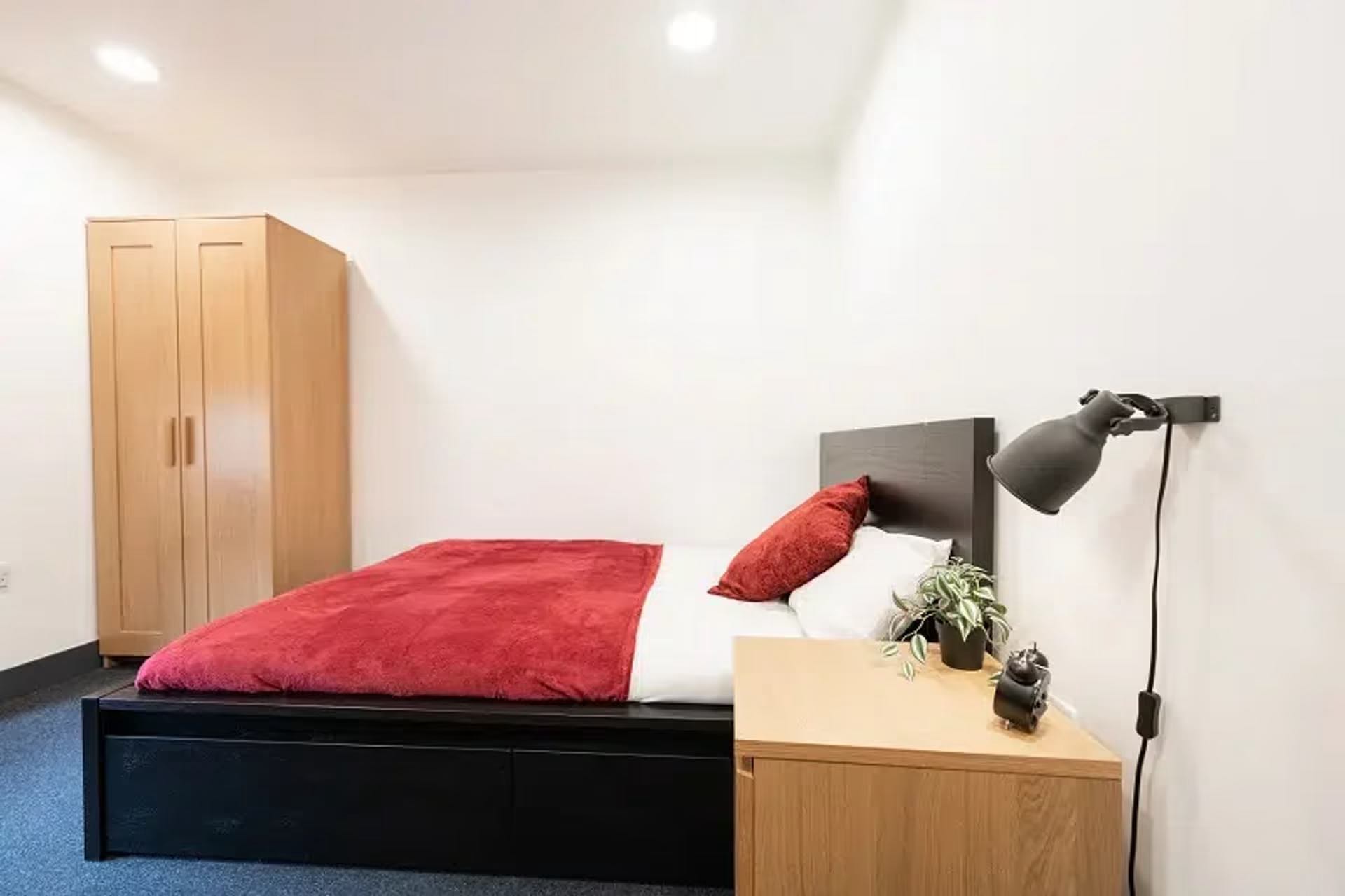 Bronze Deluxe Studio